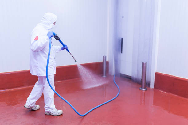 Best Warehouse Cleaning  in Buena Vista, MI