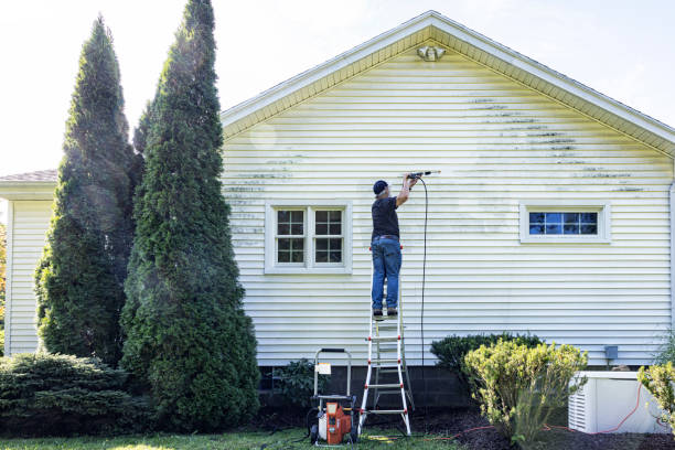 Best Building Exterior Washing  in Buena Vista, MI