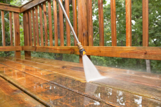 Best Rust Removal  in Buena Vista, MI